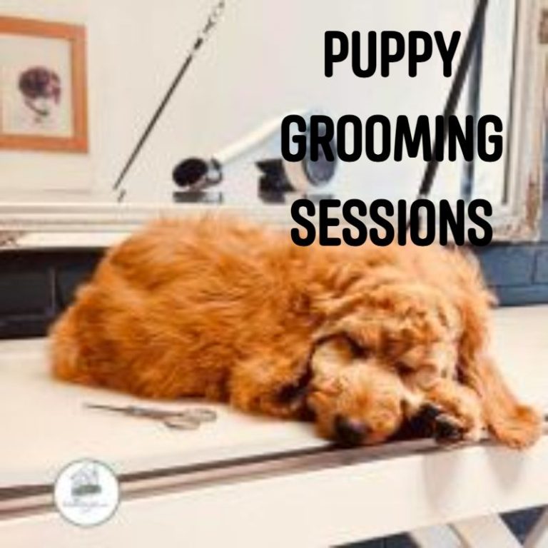  "Puppy Grooming Sessions."