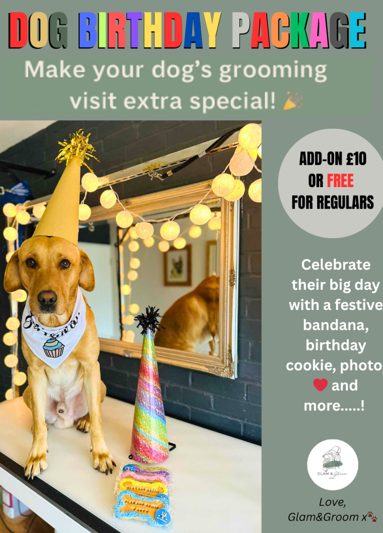 dogs birthday package