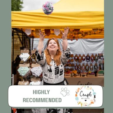 Handmade fabric accessories for you, your babies and pets. Handmade fabric accessories for you, your babies and pets.