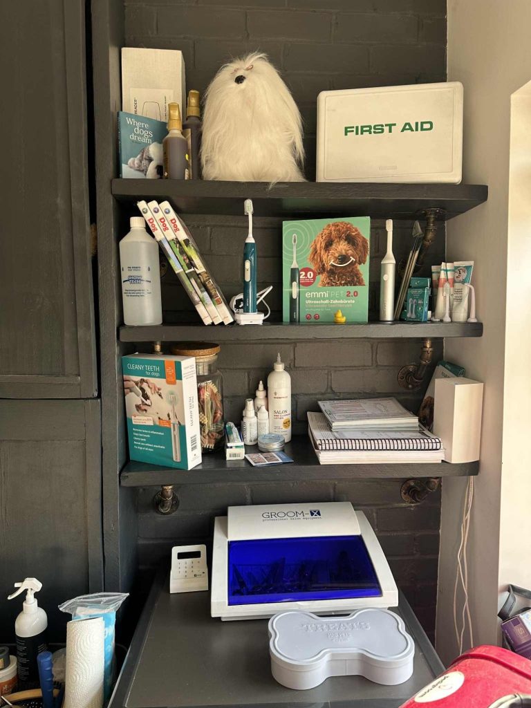 - Ultrasonic Teeth Cleaning Service -